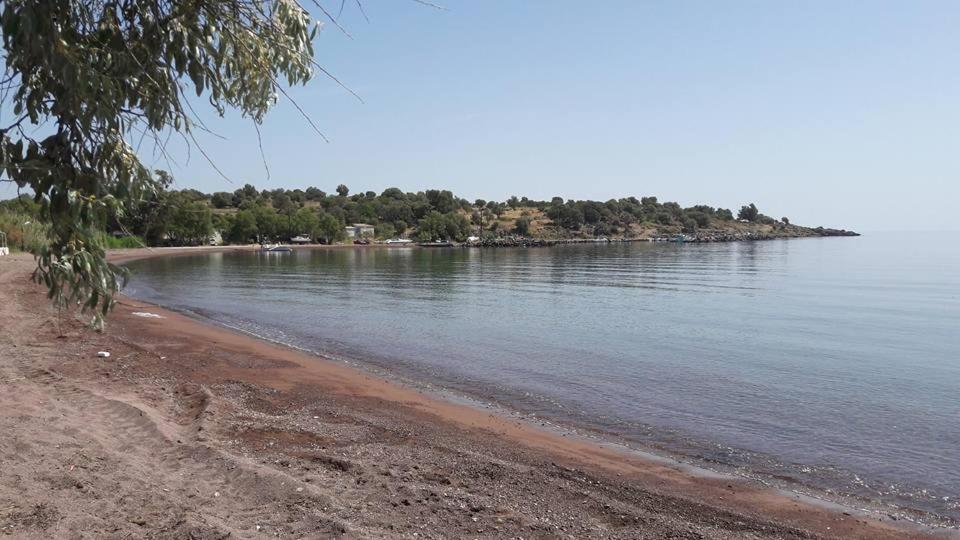 Armonia Houses Tsonia Екстериор снимка